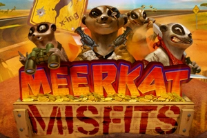 Арт слота Meerkat Misfits